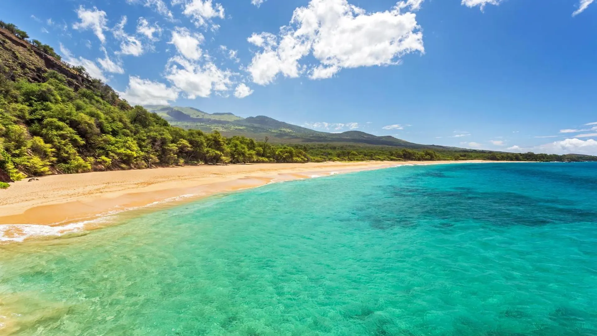 Kamaole Sands 7-404 Wailea  Wailea (Maui)